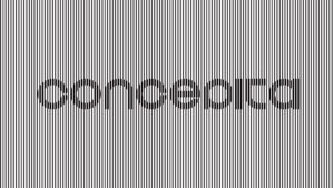Concepita Branding Agency, brand identity design